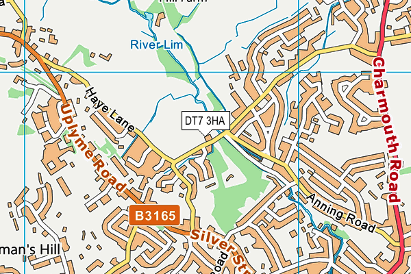 DT7 3HA map - OS VectorMap District (Ordnance Survey) DT7 3HA map - OS VectorMap District (Ordnance Survey)