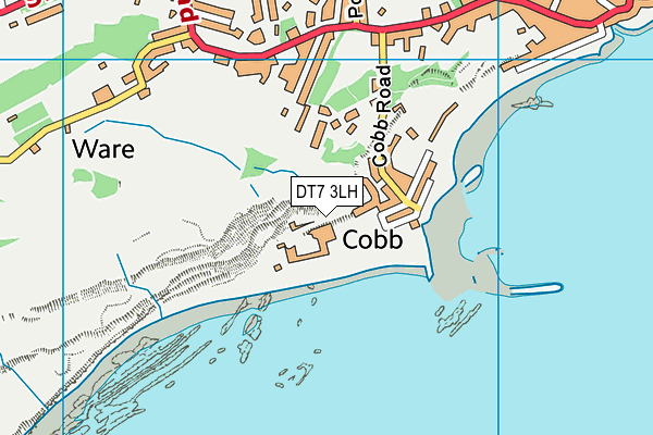 DT7 3LH map - OS VectorMap District (Ordnance Survey) DT7 3LH map - OS VectorMap District (Ordnance Survey)