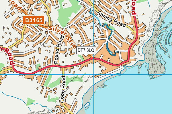 DT7 3LQ map - OS VectorMap District (Ordnance Survey) DT7 3LQ map - OS VectorMap District (Ordnance Survey)