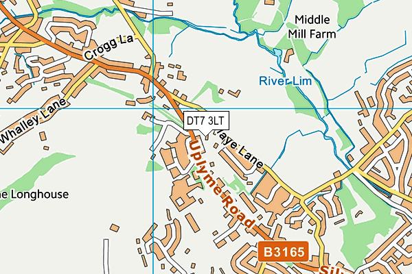 DT7 3LT map - OS VectorMap District (Ordnance Survey) DT7 3LT map - OS VectorMap District (Ordnance Survey)