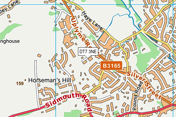 DT7 3NE map - OS VectorMap District (Ordnance Survey) DT7 3NE map - OS VectorMap District (Ordnance Survey)