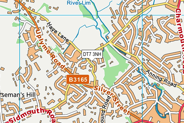 DT7 3NH map - OS VectorMap District (Ordnance Survey) DT7 3NH map - OS VectorMap District (Ordnance Survey)