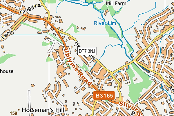 DT7 3NJ map - OS VectorMap District (Ordnance Survey) DT7 3NJ map - OS VectorMap District (Ordnance Survey)