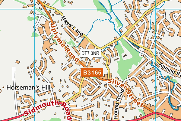 DT7 3NR map - OS VectorMap District (Ordnance Survey) DT7 3NR map - OS VectorMap District (Ordnance Survey)