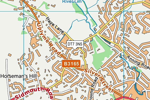 DT7 3NS map - OS VectorMap District (Ordnance Survey) DT7 3NS map - OS VectorMap District (Ordnance Survey)