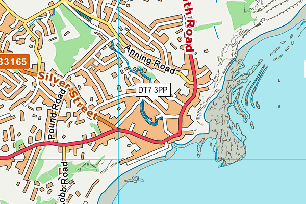 DT7 3PP map - OS VectorMap District (Ordnance Survey) DT7 3PP map - OS VectorMap District (Ordnance Survey)