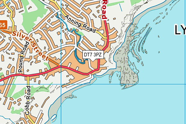 DT7 3PZ map - OS VectorMap District (Ordnance Survey) DT7 3PZ map - OS VectorMap District (Ordnance Survey)