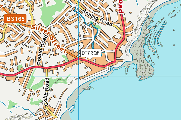 DT7 3QF map - OS VectorMap District (Ordnance Survey) DT7 3QF map - OS VectorMap District (Ordnance Survey)
