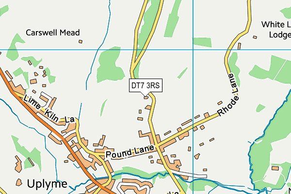 DT7 3RS map - OS VectorMap District (Ordnance Survey) DT7 3RS map - OS VectorMap District (Ordnance Survey)