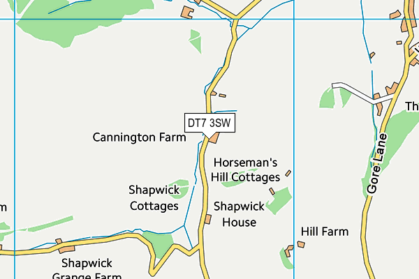 DT7 3SW map - OS VectorMap District (Ordnance Survey)