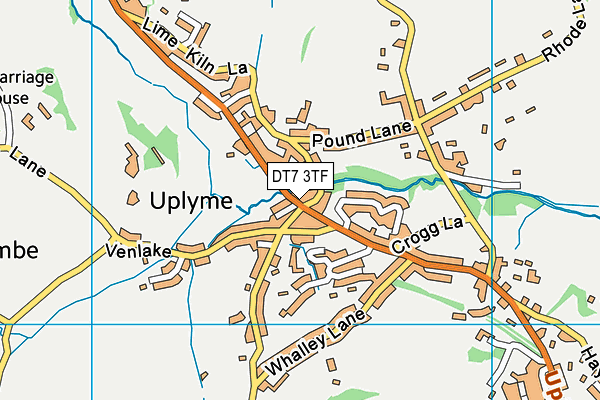 DT7 3TF map - OS VectorMap District (Ordnance Survey) DT7 3TF map - OS VectorMap District (Ordnance Survey)