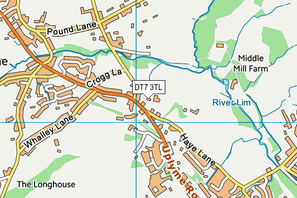 DT7 3TL map - OS VectorMap District (Ordnance Survey) DT7 3TL map - OS VectorMap District (Ordnance Survey)