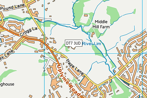 DT7 3UD map - OS VectorMap District (Ordnance Survey) DT7 3UD map - OS VectorMap District (Ordnance Survey)