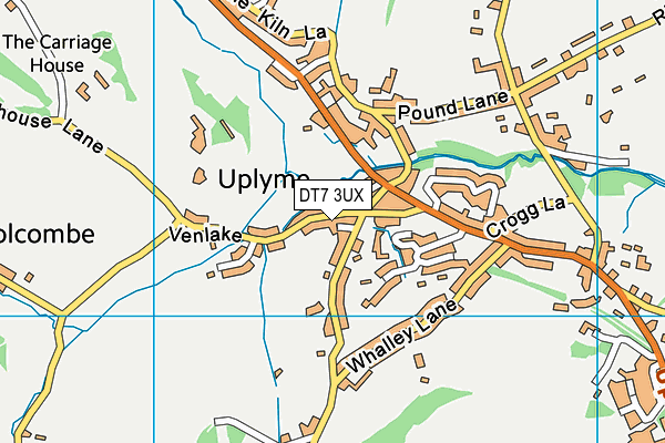 DT7 3UX map - OS VectorMap District (Ordnance Survey) DT7 3UX map - OS VectorMap District (Ordnance Survey)