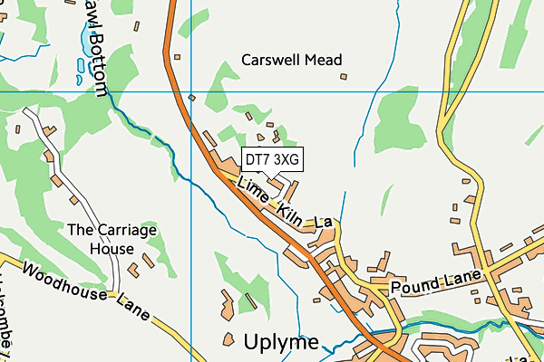 DT7 3XG map - OS VectorMap District (Ordnance Survey) DT7 3XG map - OS VectorMap District (Ordnance Survey)