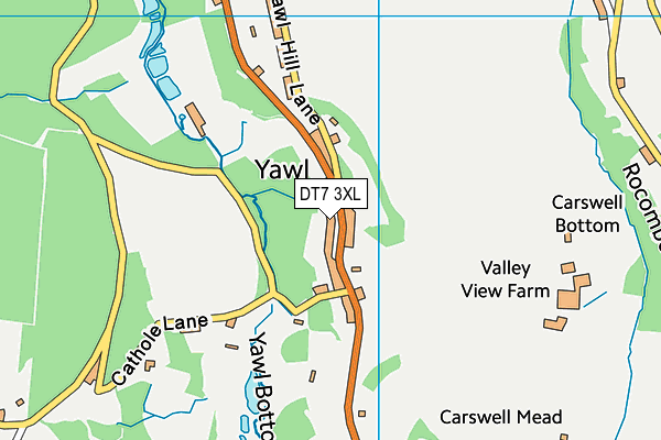 DT7 3XL map - OS VectorMap District (Ordnance Survey) DT7 3XL map - OS VectorMap District (Ordnance Survey)