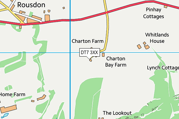 DT7 3XX map - OS VectorMap District (Ordnance Survey)