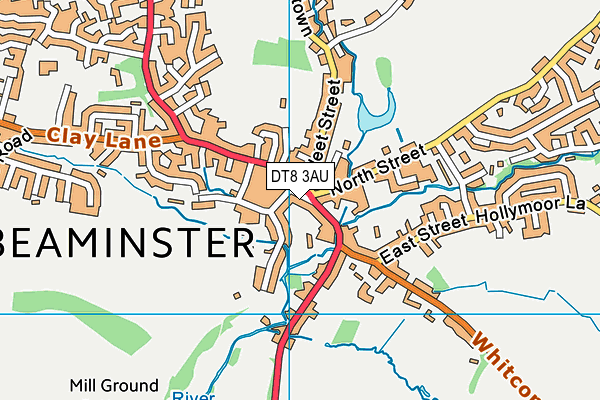 DT8 3AU map - OS VectorMap District (Ordnance Survey) DT8 3AU map - OS VectorMap District (Ordnance Survey)