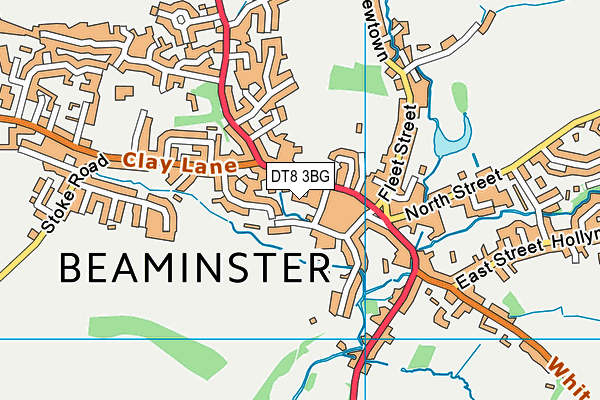 DT8 3BG map - OS VectorMap District (Ordnance Survey) DT8 3BG map - OS VectorMap District (Ordnance Survey)