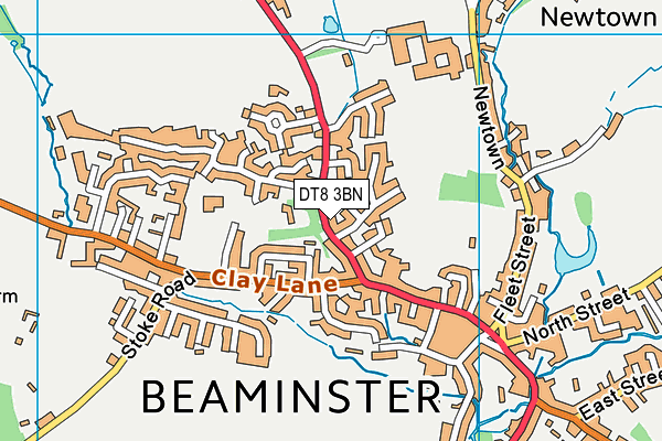 DT8 3BN map - OS VectorMap District (Ordnance Survey) DT8 3BN map - OS VectorMap District (Ordnance Survey)