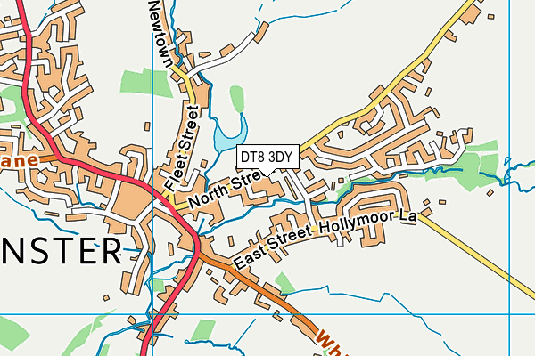 DT8 3DY map - OS VectorMap District (Ordnance Survey) DT8 3DY map - OS VectorMap District (Ordnance Survey)