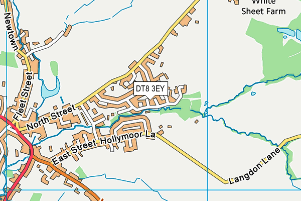DT8 3EY map - OS VectorMap District (Ordnance Survey) DT8 3EY map - OS VectorMap District (Ordnance Survey)