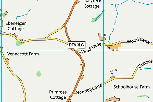 DT8 3LG map - OS VectorMap District (Ordnance Survey) DT8 3LG map - OS VectorMap District (Ordnance Survey)