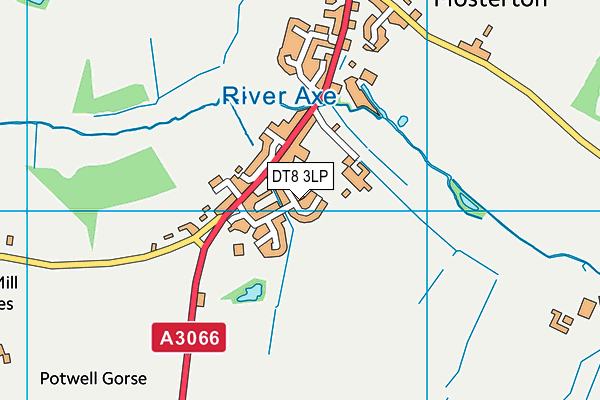 DT8 3LP map - OS VectorMap District (Ordnance Survey) DT8 3LP map - OS VectorMap District (Ordnance Survey)