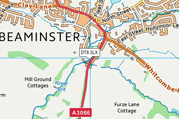 DT8 3LX map - OS VectorMap District (Ordnance Survey) DT8 3LX map - OS VectorMap District (Ordnance Survey)