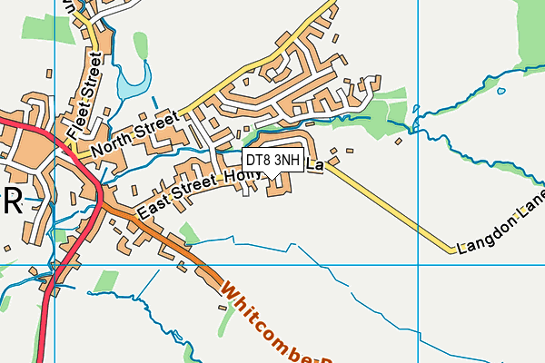 DT8 3NH map - OS VectorMap District (Ordnance Survey) DT8 3NH map - OS VectorMap District (Ordnance Survey)