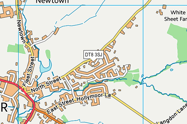 DT8 3SJ map - OS VectorMap District (Ordnance Survey) DT8 3SJ map - OS VectorMap District (Ordnance Survey)
