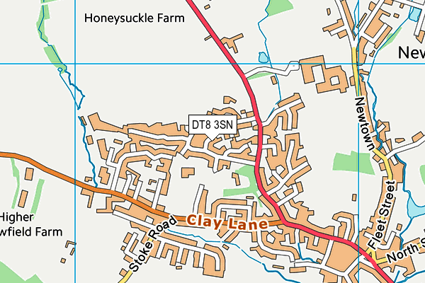 DT8 3SN map - OS VectorMap District (Ordnance Survey) DT8 3SN map - OS VectorMap District (Ordnance Survey)