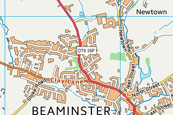 DT8 3SP map - OS VectorMap District (Ordnance Survey) DT8 3SP map - OS VectorMap District (Ordnance Survey)