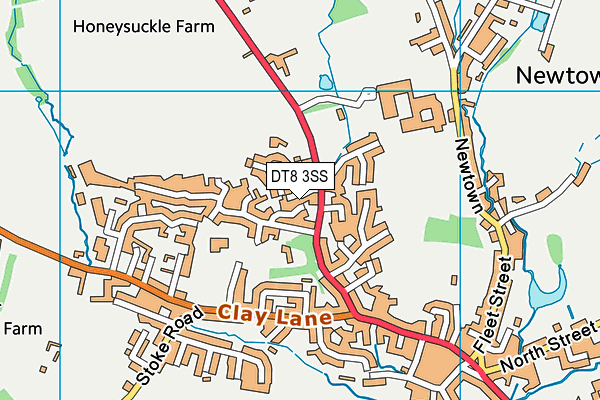 DT8 3SS map - OS VectorMap District (Ordnance Survey) DT8 3SS map - OS VectorMap District (Ordnance Survey)
