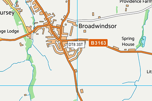 DT8 3ST map - OS VectorMap District (Ordnance Survey) DT8 3ST map - OS VectorMap District (Ordnance Survey)