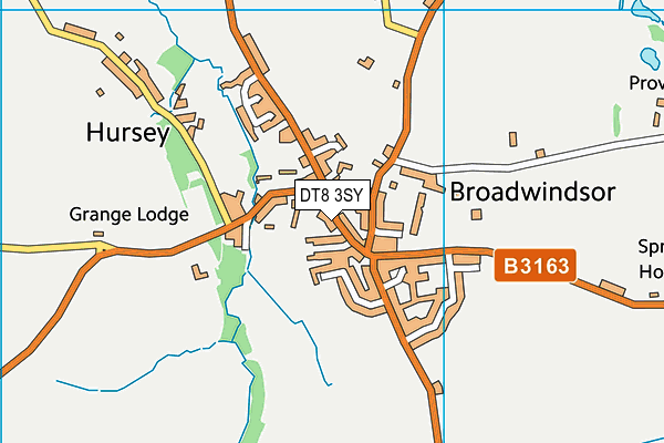 DT8 3SY map - OS VectorMap District (Ordnance Survey) DT8 3SY map - OS VectorMap District (Ordnance Survey)