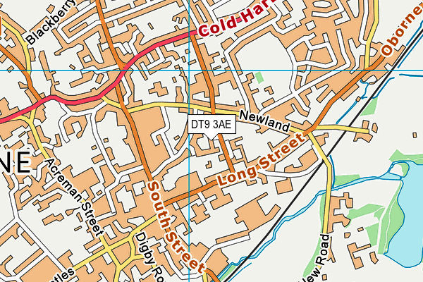 DT9 3AE map - OS VectorMap District (Ordnance Survey) DT9 3AE map - OS VectorMap District (Ordnance Survey)