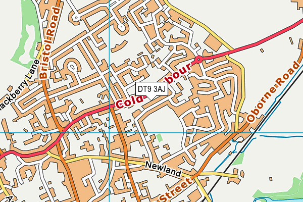 DT9 3AJ map - OS VectorMap District (Ordnance Survey) DT9 3AJ map - OS VectorMap District (Ordnance Survey)