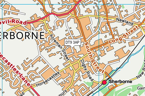 DT9 3AP map - OS VectorMap District (Ordnance Survey) DT9 3AP map - OS VectorMap District (Ordnance Survey)