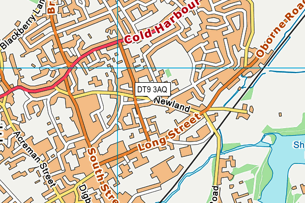DT9 3AQ map - OS VectorMap District (Ordnance Survey) DT9 3AQ map - OS VectorMap District (Ordnance Survey)