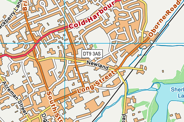 DT9 3AS map - OS VectorMap District (Ordnance Survey) DT9 3AS map - OS VectorMap District (Ordnance Survey)