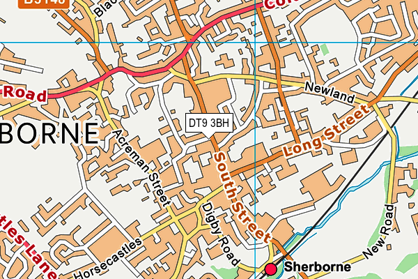 DT9 3BH map - OS VectorMap District (Ordnance Survey) DT9 3BH map - OS VectorMap District (Ordnance Survey)