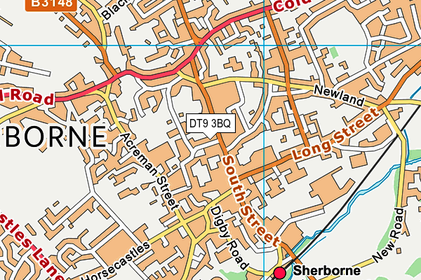 DT9 3BQ map - OS VectorMap District (Ordnance Survey)