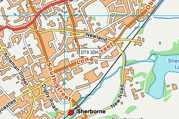 DT9 3DH map - OS VectorMap District (Ordnance Survey) DT9 3DH map - OS VectorMap District (Ordnance Survey)