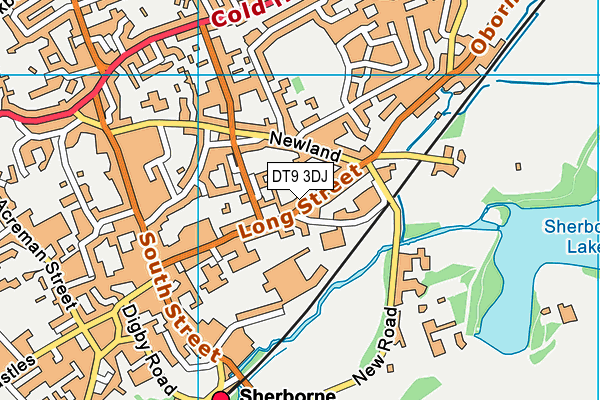 DT9 3DJ map - OS VectorMap District (Ordnance Survey) DT9 3DJ map - OS VectorMap District (Ordnance Survey)
