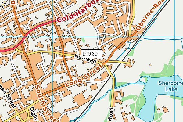 DT9 3DT map - OS VectorMap District (Ordnance Survey) DT9 3DT map - OS VectorMap District (Ordnance Survey)
