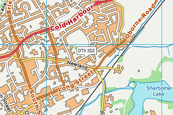 DT9 3DZ map - OS VectorMap District (Ordnance Survey) DT9 3DZ map - OS VectorMap District (Ordnance Survey)