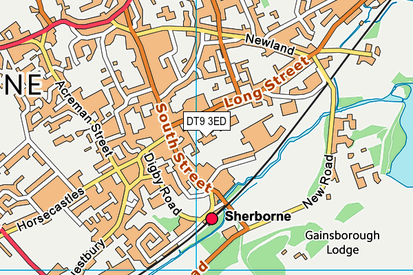 DT9 3ED map - OS VectorMap District (Ordnance Survey) DT9 3ED map - OS VectorMap District (Ordnance Survey)