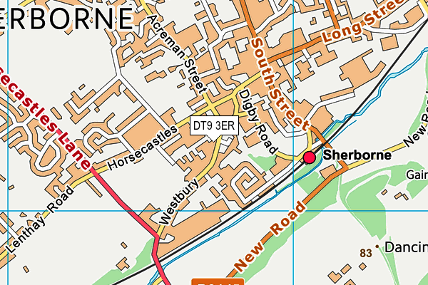 DT9 3ER map - OS VectorMap District (Ordnance Survey) DT9 3ER map - OS VectorMap District (Ordnance Survey)