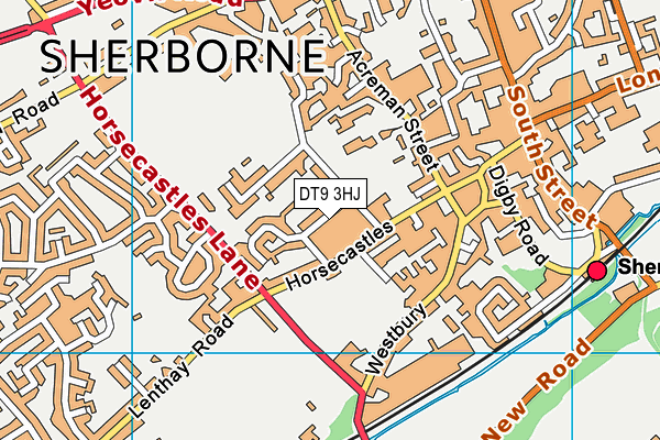 DT9 3HJ map - OS VectorMap District (Ordnance Survey) DT9 3HJ map - OS VectorMap District (Ordnance Survey)
